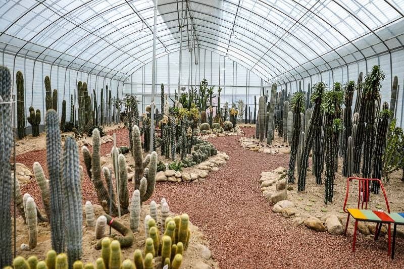 아트밸리1999 (6)