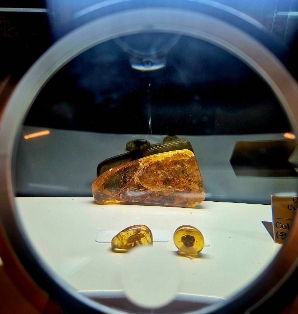 아트밸리1999 (19)