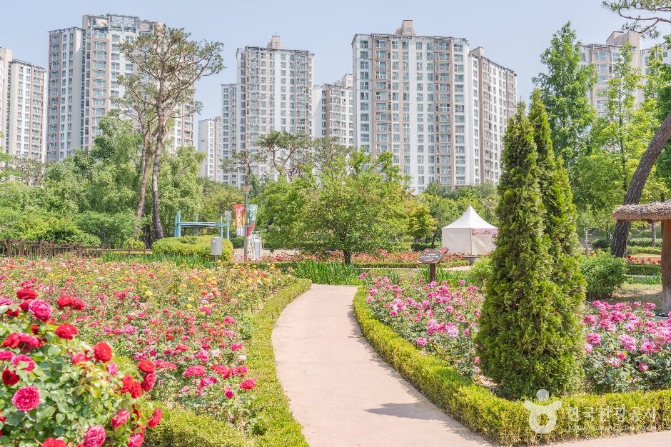 오산_오산 고인돌공원 (3)