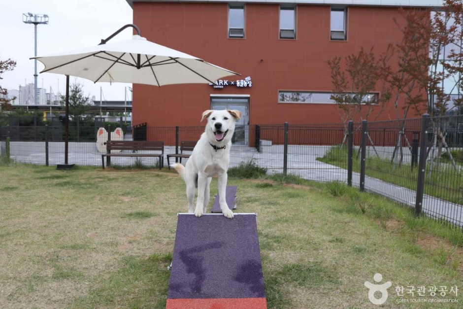 오산반려동물테마파크 (3)