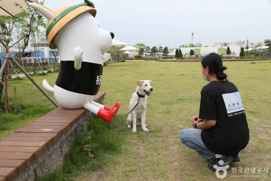 오산반려동물테마파크 (7)