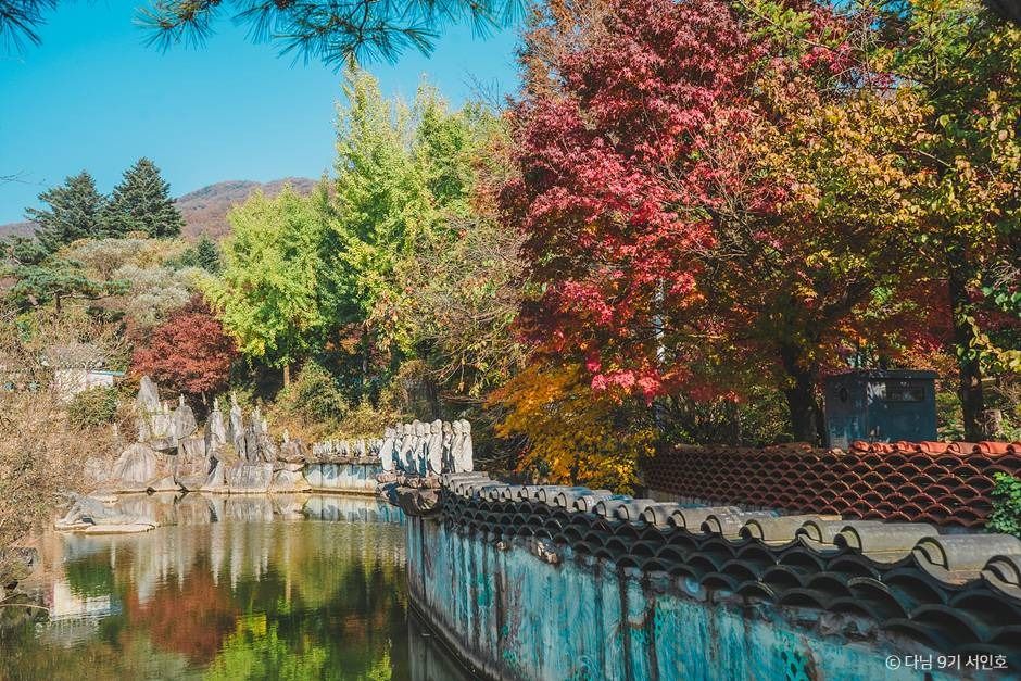 용인 단풍 명소 실시간 한국외대 와우정사 핫플 카페 아리랑도원_와우정사_2-4