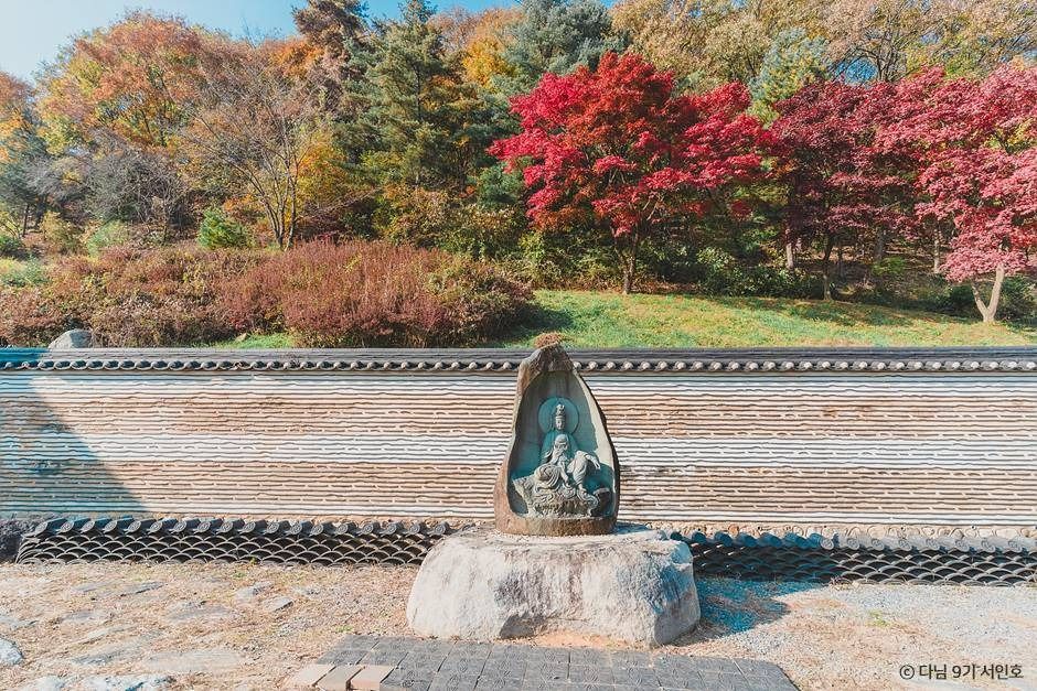 용인 단풍 명소 실시간 한국외대 와우정사 핫플 카페 아리랑도원_와우정사_2-5