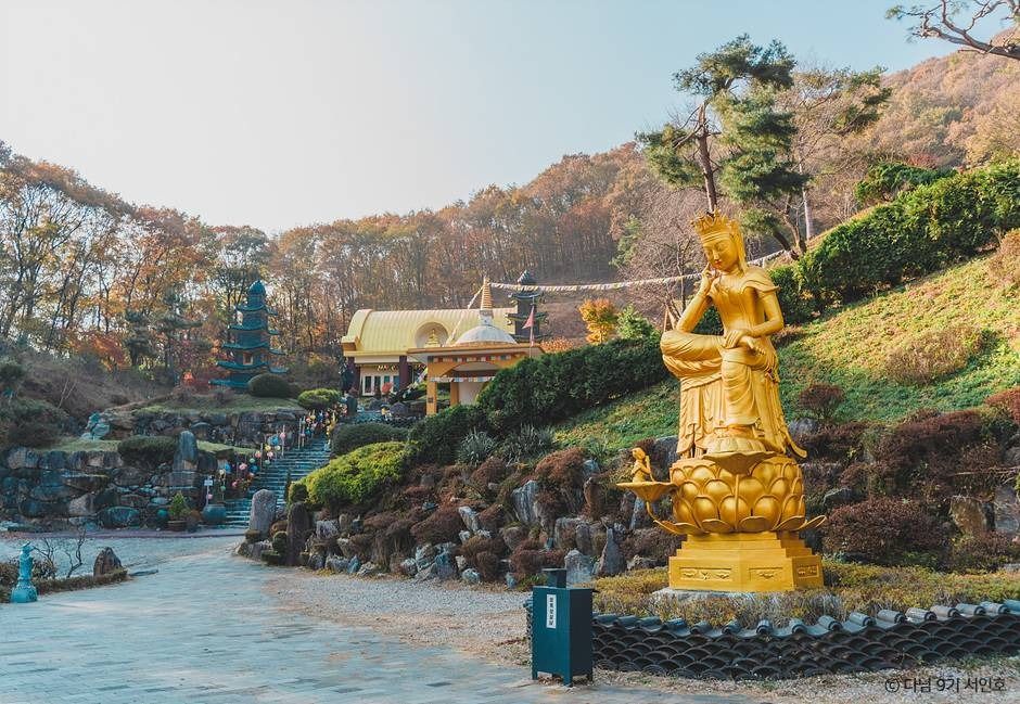 용인 단풍 명소 실시간 한국외대 와우정사 핫플 카페 아리랑도원_와우정사_2-6