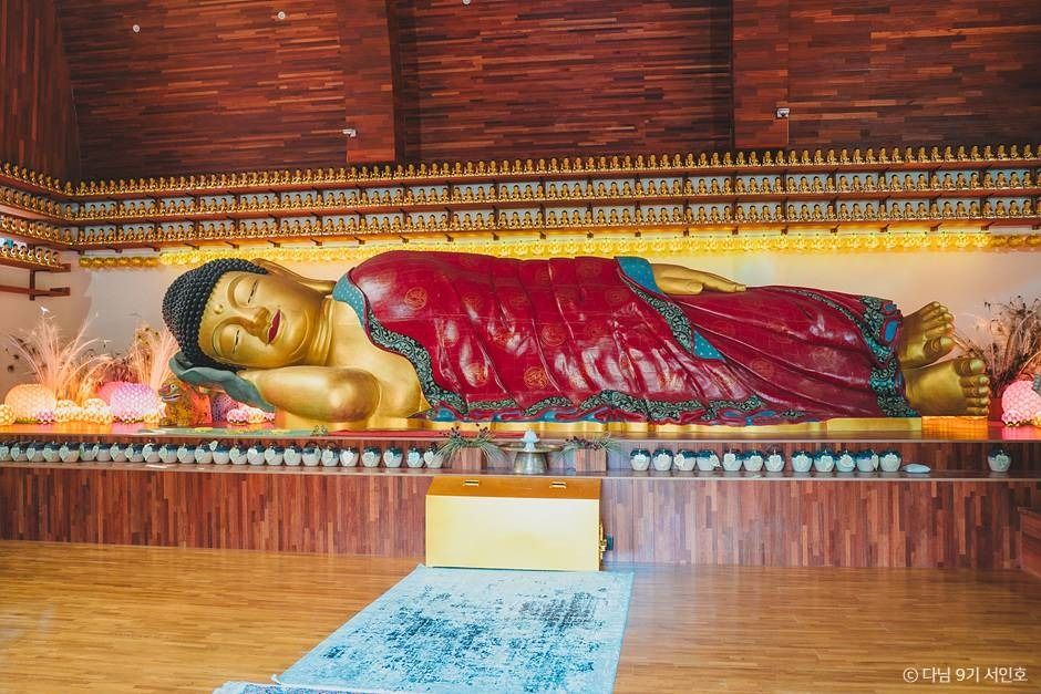 용인 단풍 명소 실시간 한국외대 와우정사 핫플 카페 아리랑도원_와우정사_2-7