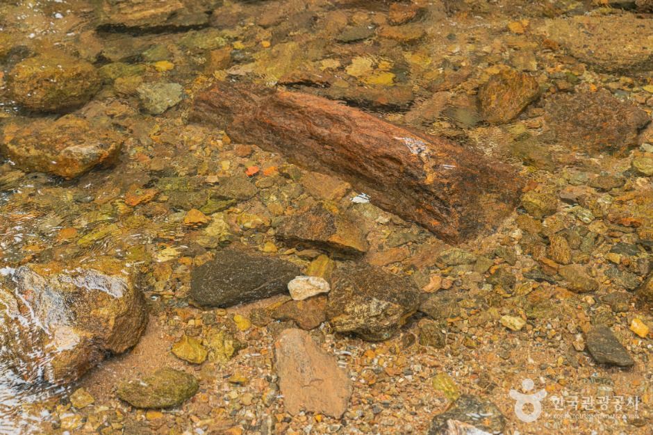 동두천_왕방계곡 (3)