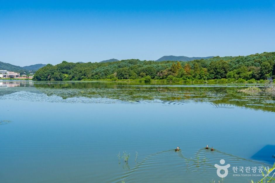 용인_용담저수지 (5)