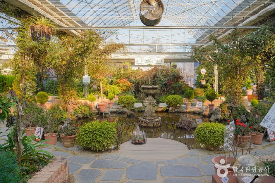 용인_용인 곤충테마파크 (5)