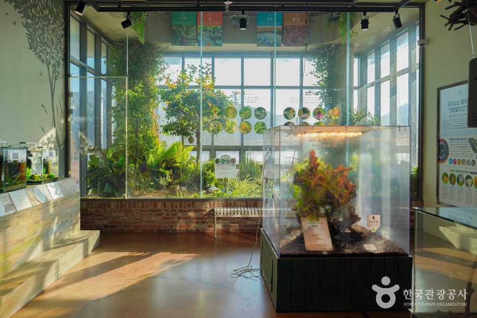 용인_용인 곤충테마파크 (1)