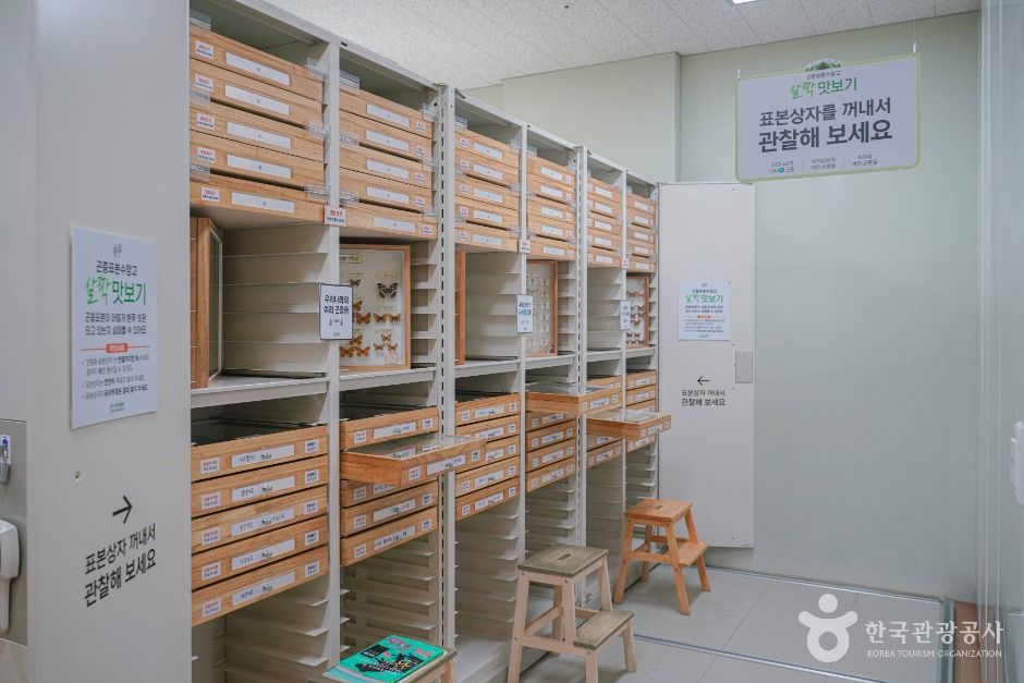 용인_용인 곤충테마파크 (3)