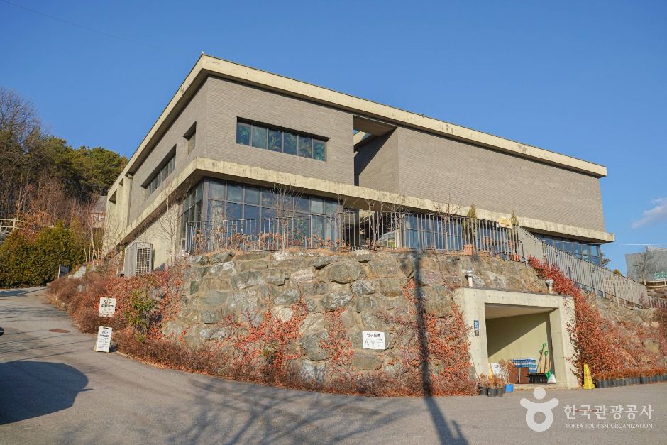 용인_용인 곤충테마파크 (9)