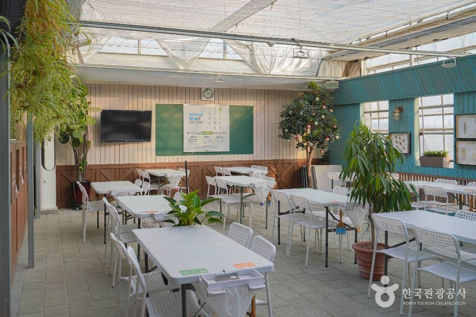 용인_용인 곤충테마파크 (6)