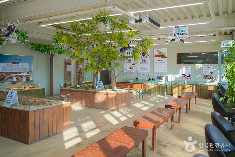 용인_용인 곤충테마파크 (7)
