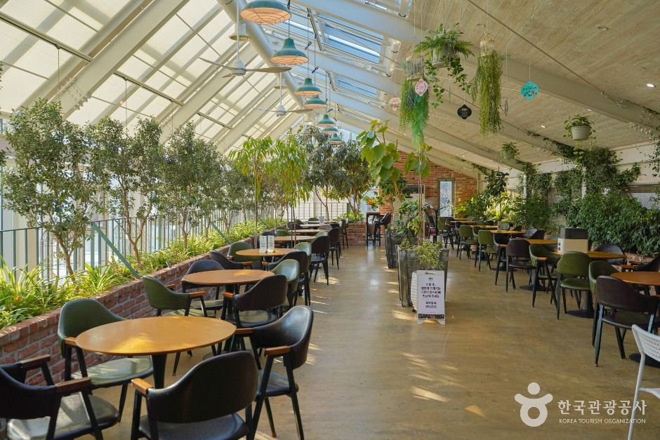 용인_용인 곤충테마파크 (8)