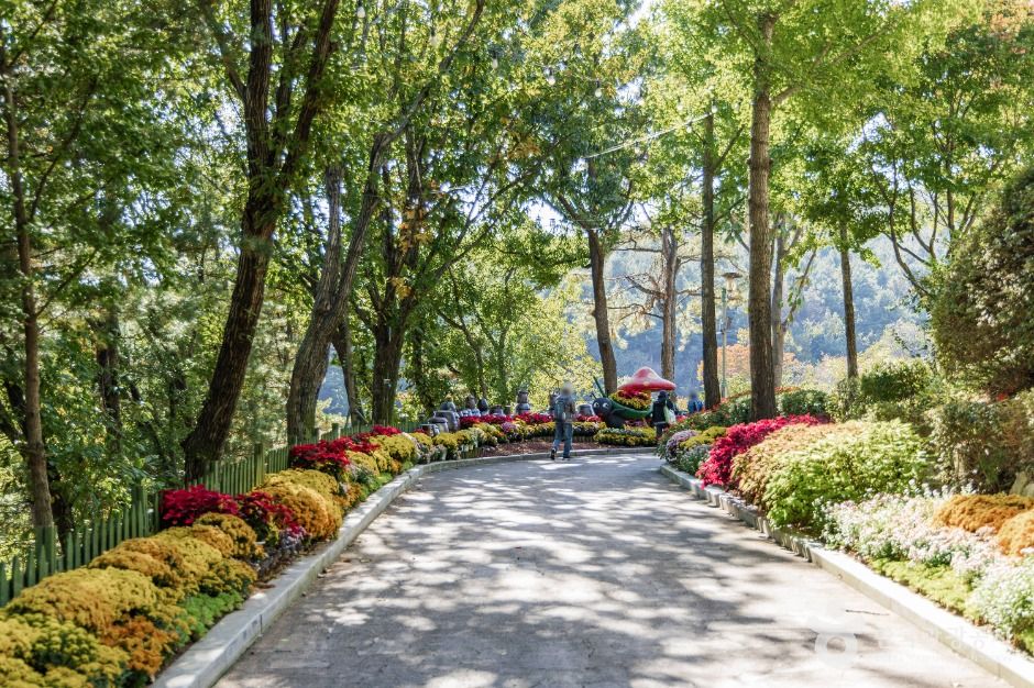 용인_용인농촌테마파크 (1)