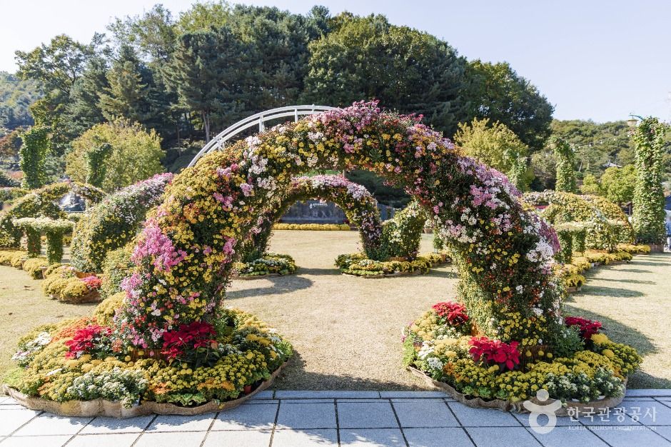 용인_용인농촌테마파크 (4)