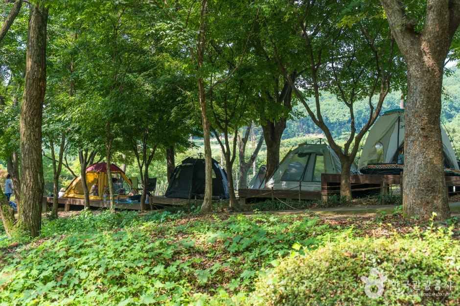 용인자연휴양림