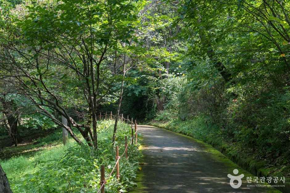 용인자연휴양림