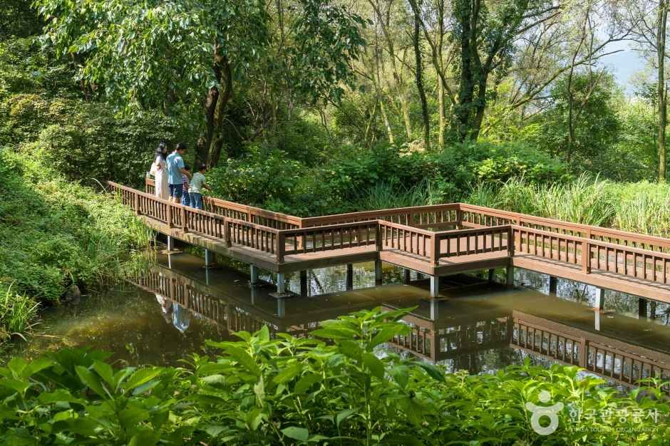 용인자연휴양림