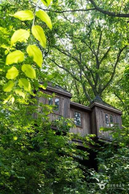 용인자연휴양림