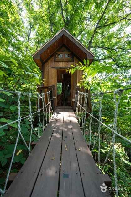 용인자연휴양림