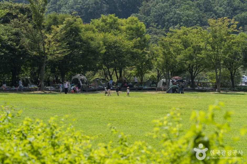 용인자연휴양림