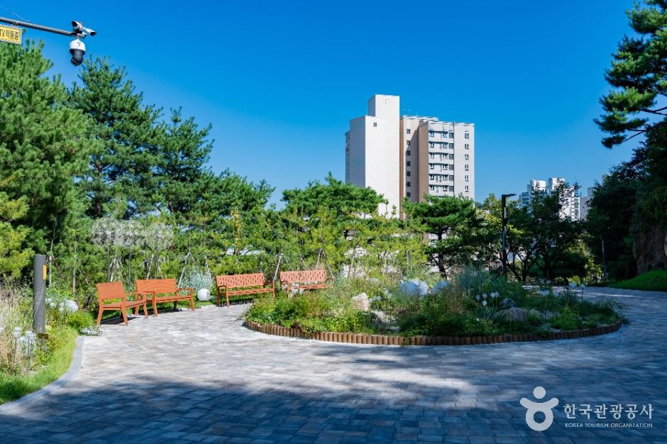 용인_용인중앙공원 (2)