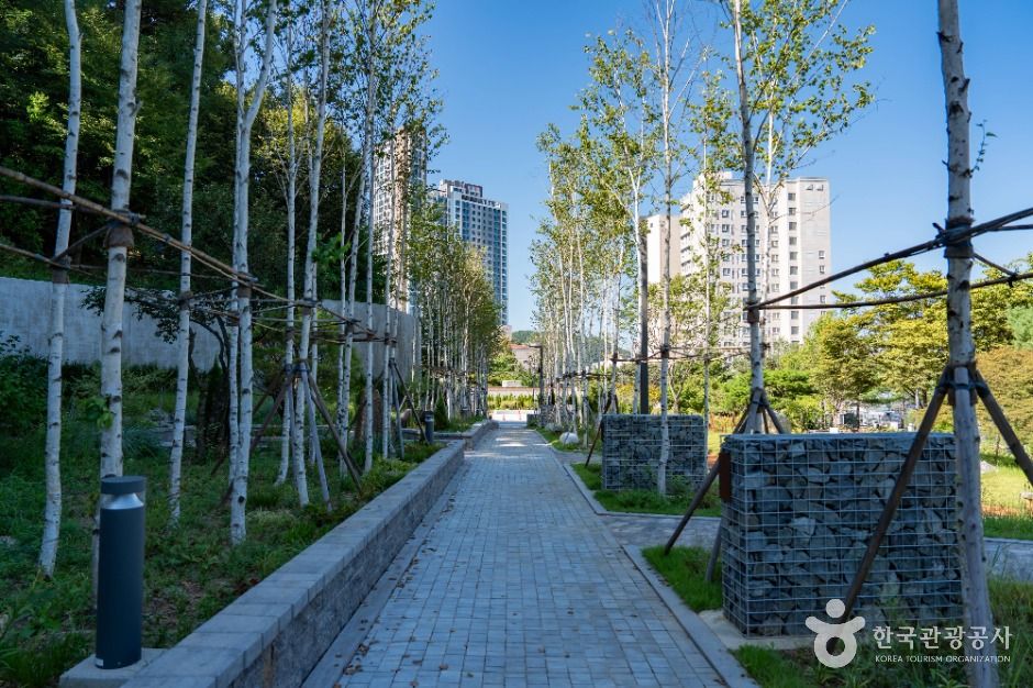 용인_용인중앙공원 (6)