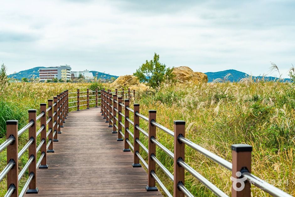 화성_우음도 (1)