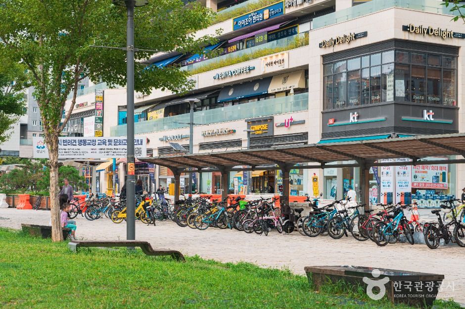 성남_위례중앙광장 (5)