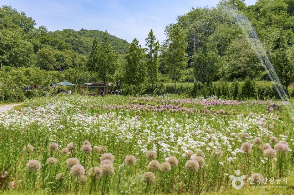 파주_율곡수목원 (1)