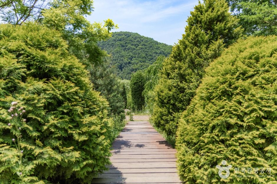 파주_율곡수목원 (5)