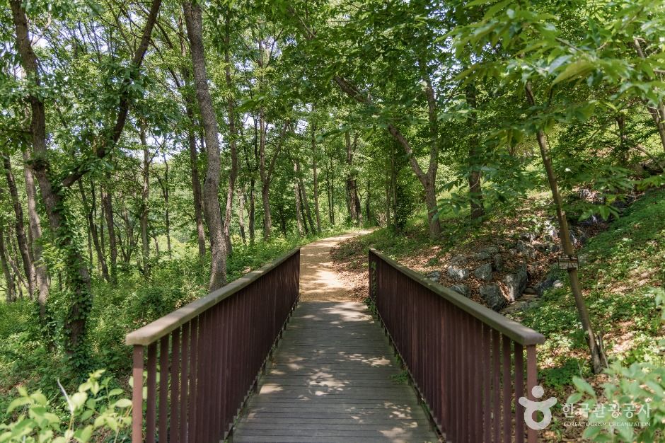 파주_율곡수목원 (6)