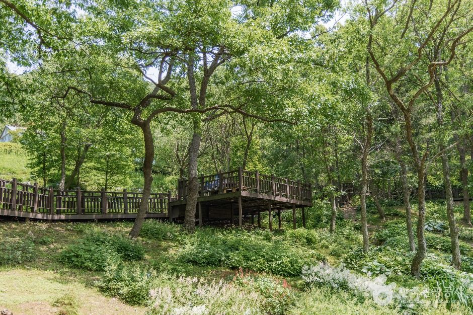 파주_율곡수목원 (8)