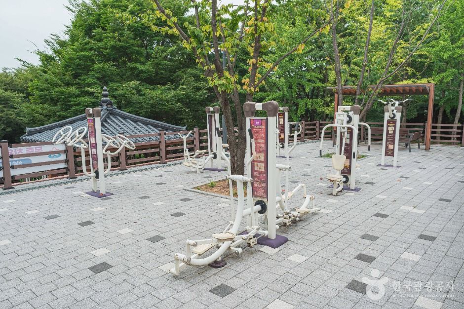 성남_은행공원 (2)