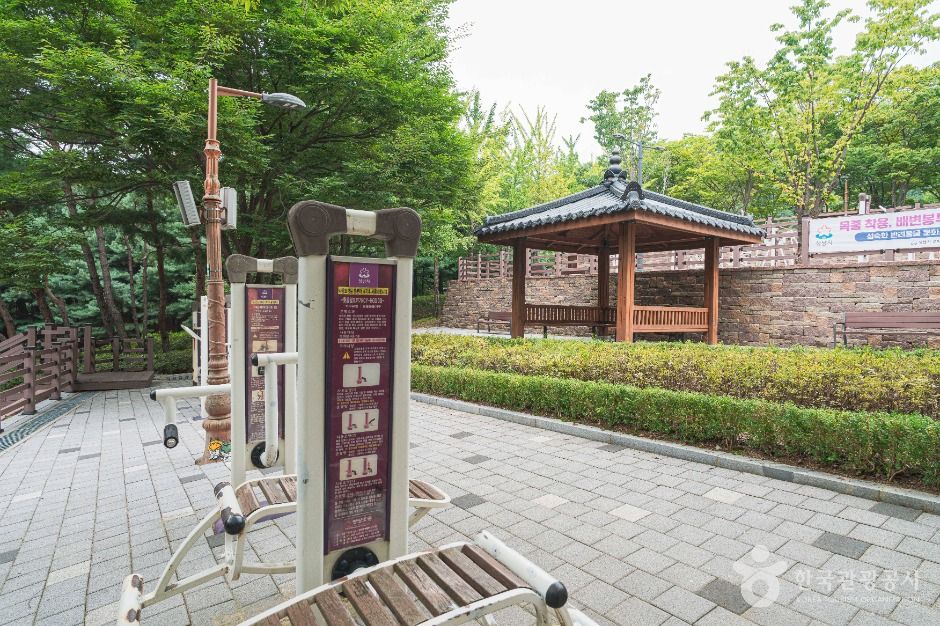 성남_은행공원 (3)