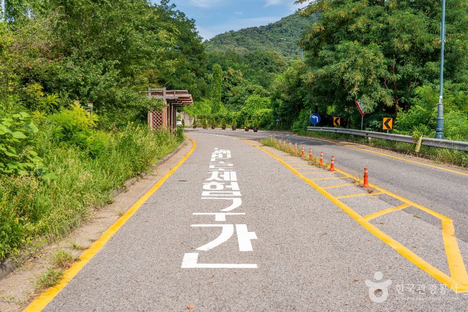 의왕_의왕도깨비도로 (1)