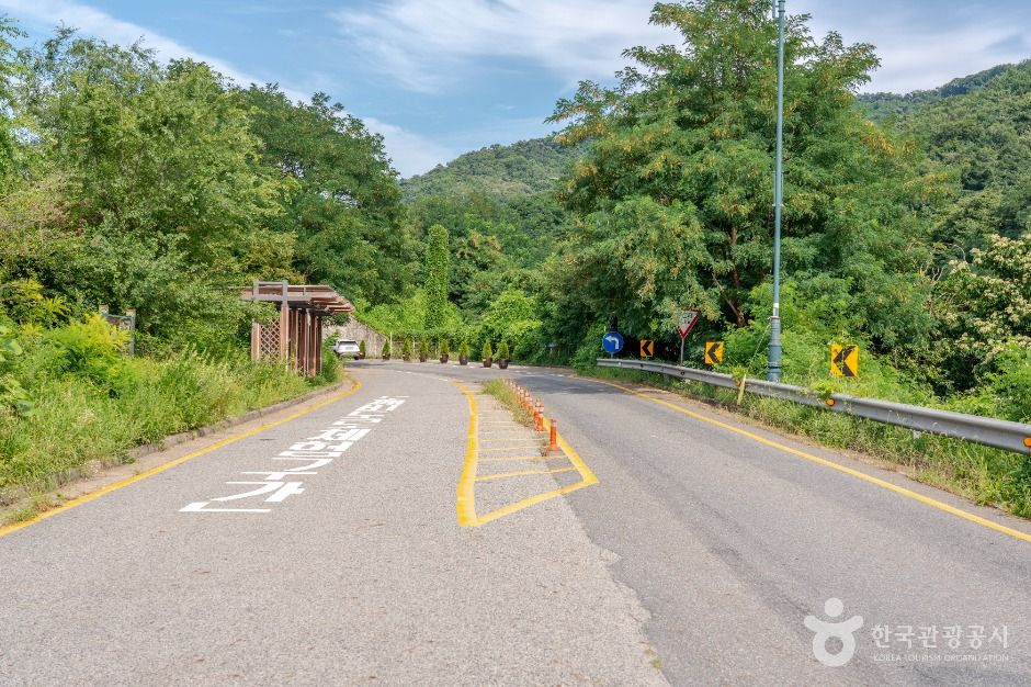 의왕_의왕도깨비도로 (3)