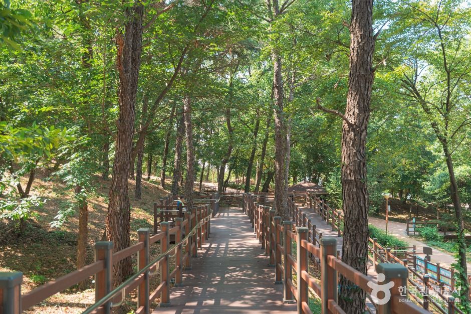 이천_이천온천공원 (6)