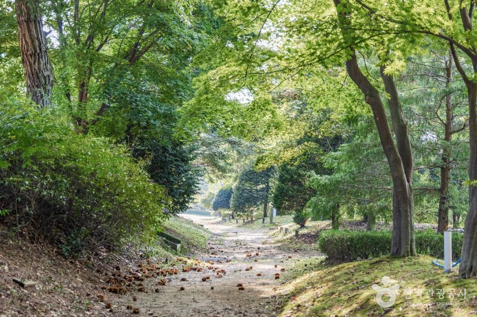 양주_일영허브랜드 (2)