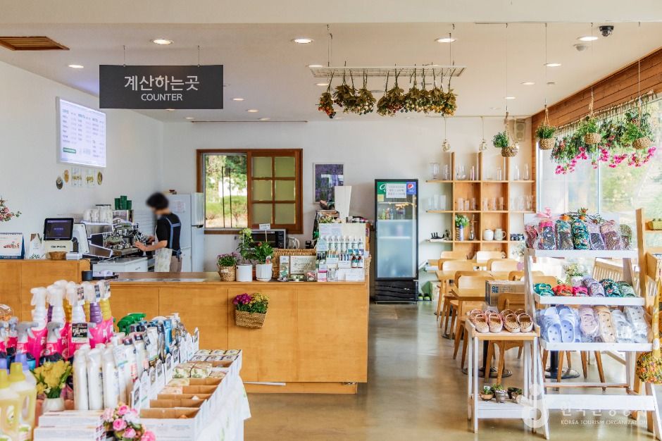 양주_일영허브랜드 (8)