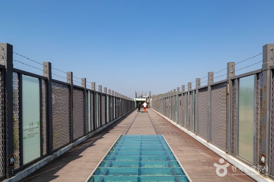 파주_임진강 독개다리 (7)