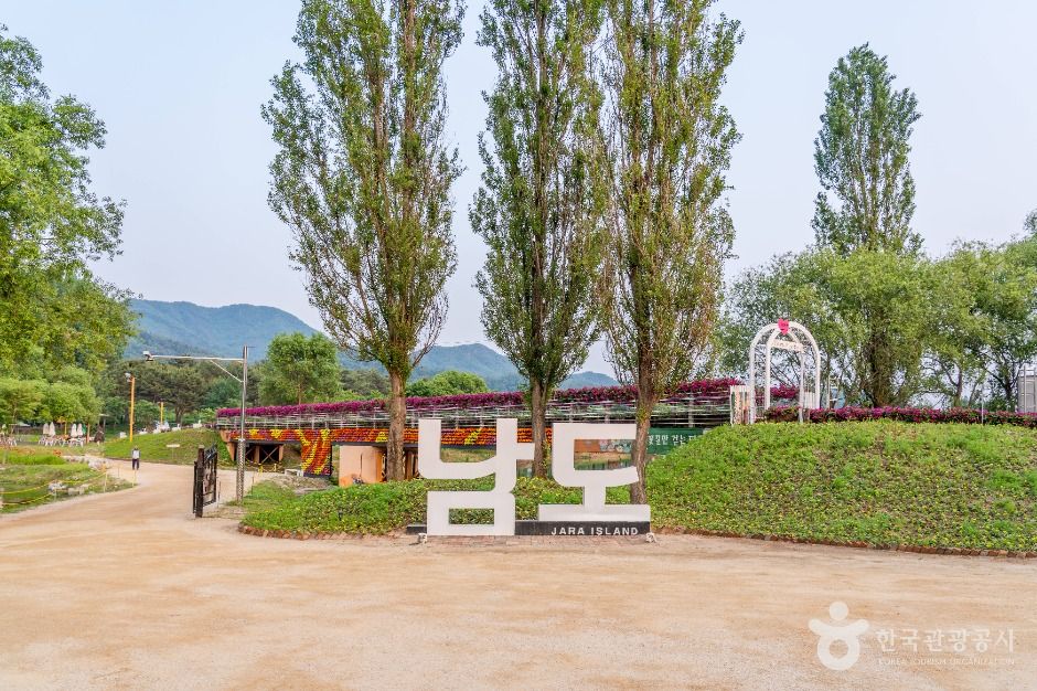 가평_자라섬 (4)