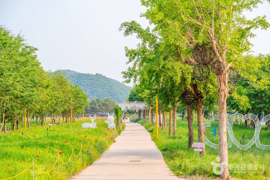 가평_자라섬 (5)