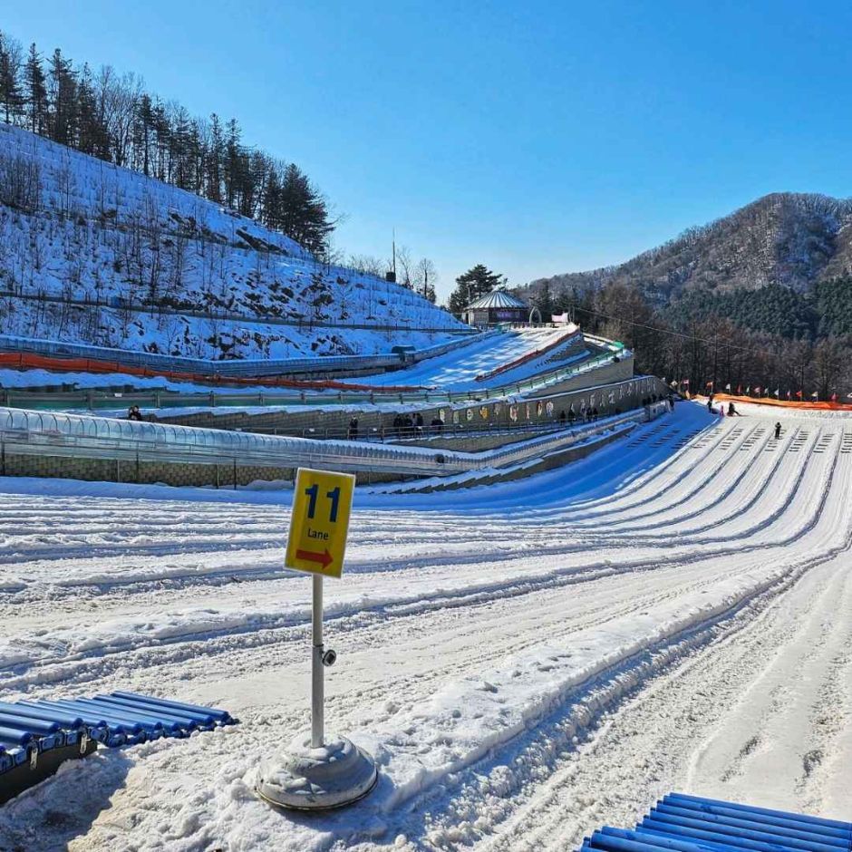 양주_장흥자연휴양림 (1)