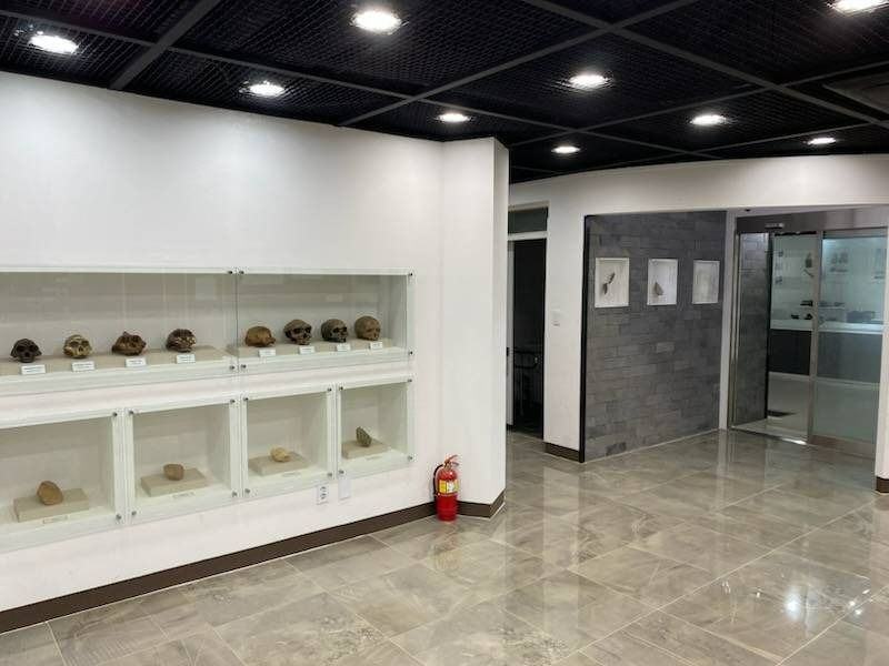 연천_전곡리 유적 토층 (한탄강 유네스코 세계지질공원) (2)