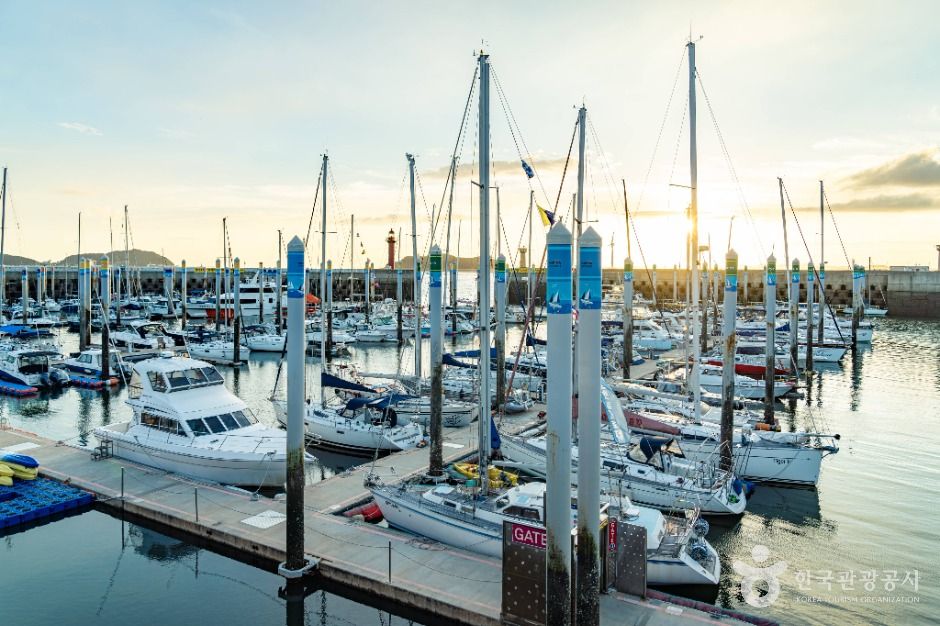 화성_전곡항 (7)