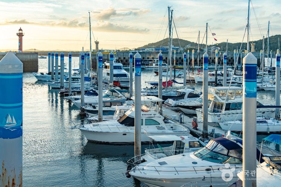 화성_전곡항 (11)