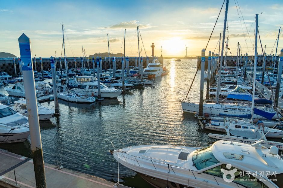 화성_전곡항 (1)