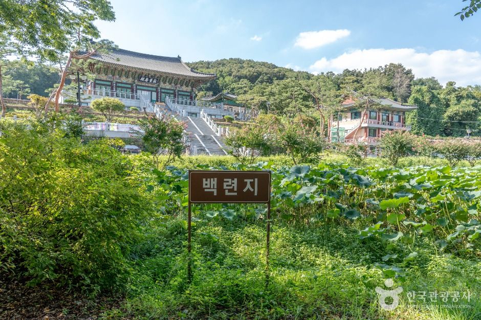 성남_정토사(성남) (5)